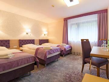 Фото номера Улучшенный трехместный номер Отель Jamrozowa Polana Hotel &amp; Browar г. Душники-Здруй 5